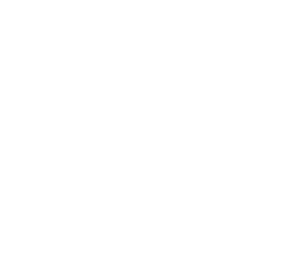 Hasekoh Website